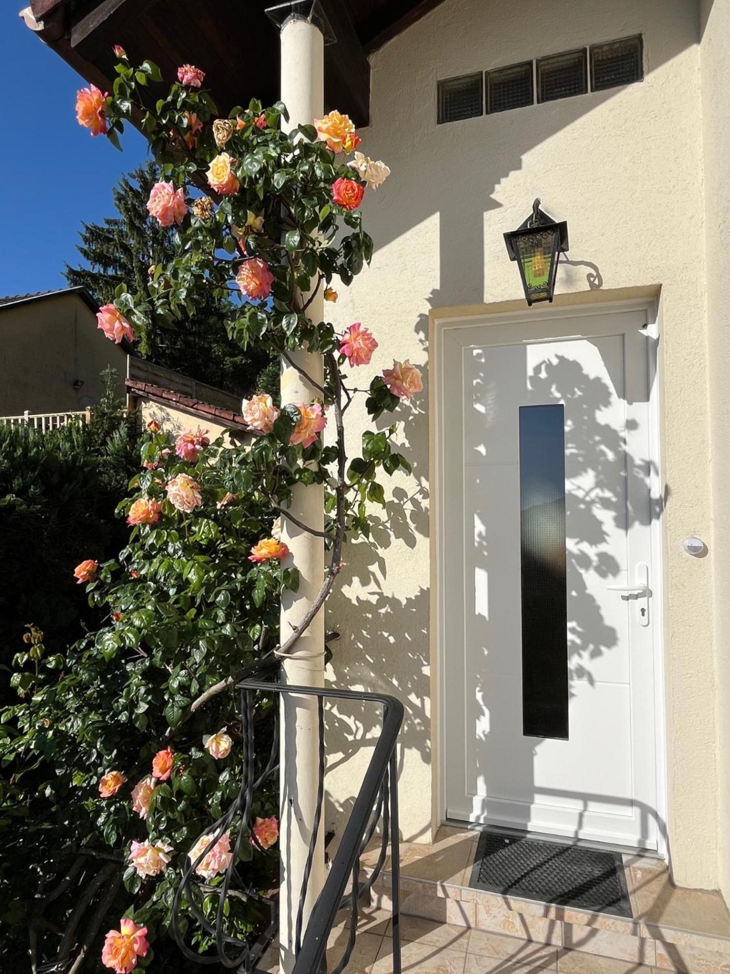 Gite Les Rosiers Du Blosen Villa Thann Exterior photo